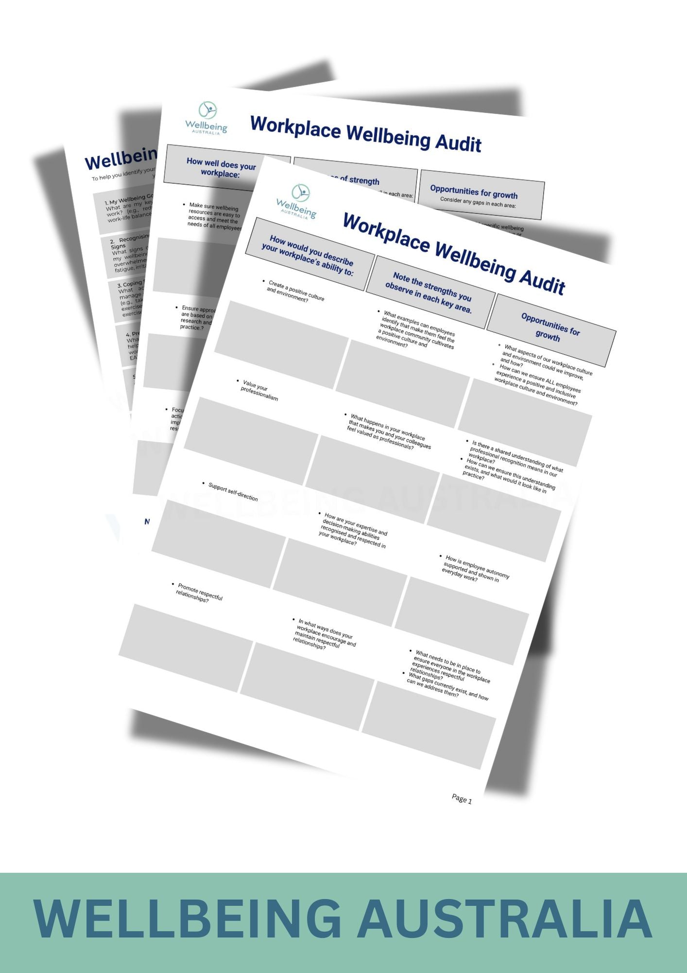 Workplace Wellbeing Audit