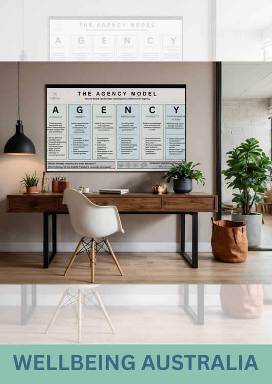 THE AGENCY MODEL