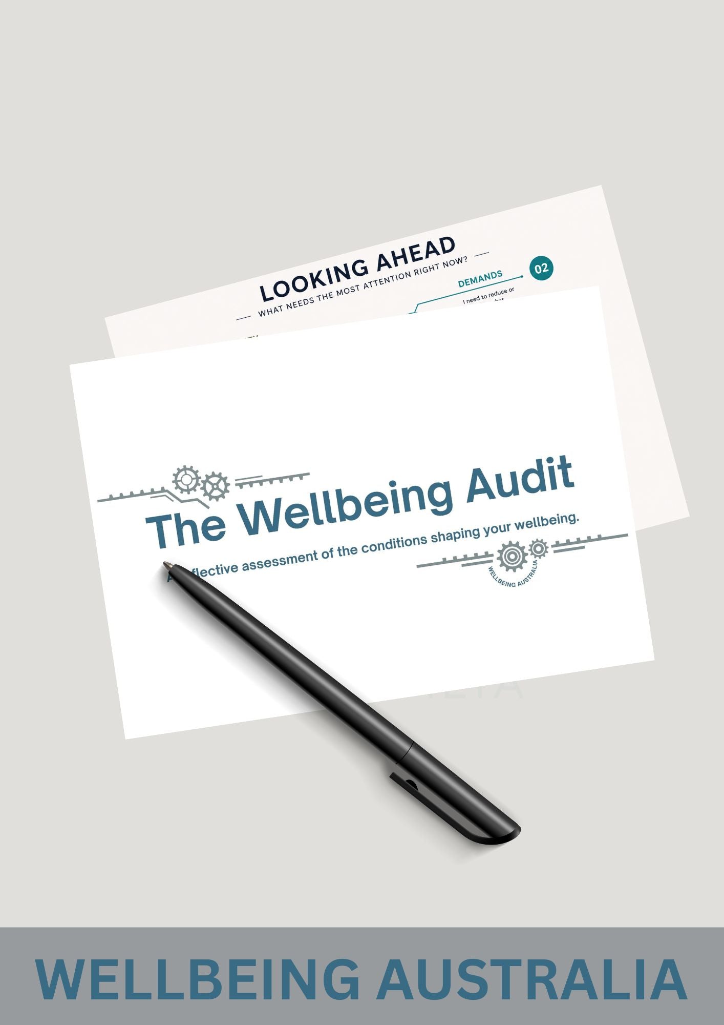 The Wellbeing Audit