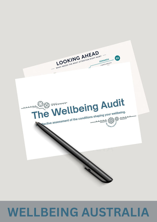 The Wellbeing Audit